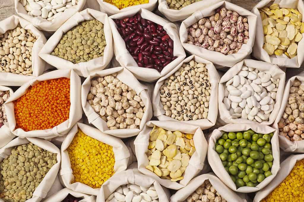 how-long-do-dried-beans-last