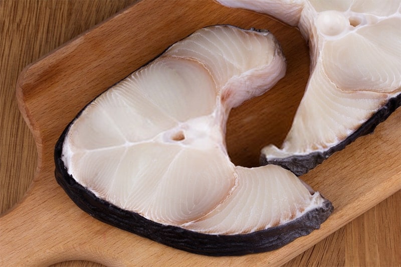 what-is-shark-meat