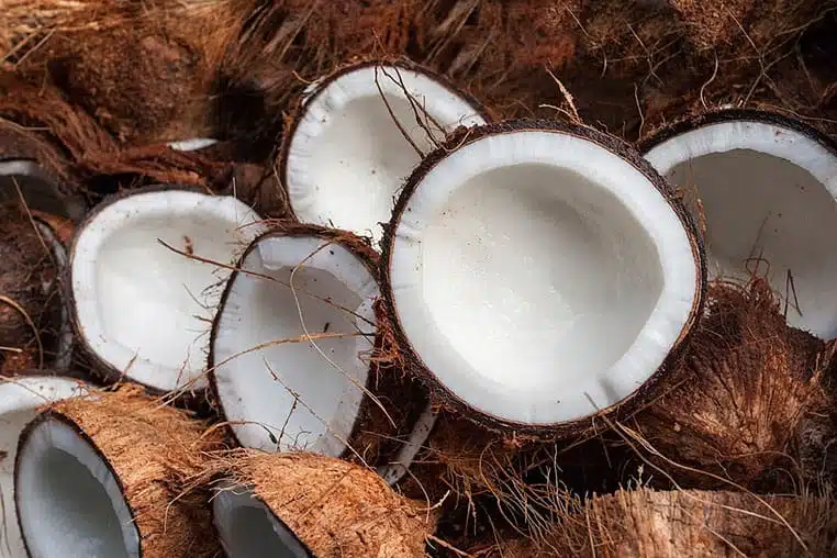 how long do coconuts last
