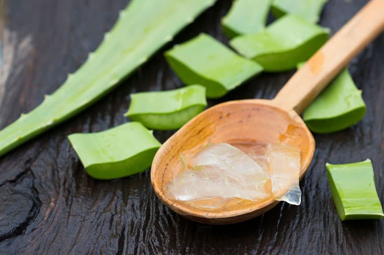 How Long Can Aloe Vera Last In The Fridge Shelf Life Guide: How Long Does Aloe Vera Last? [2025]