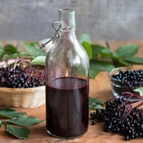 what do elderberries taste like