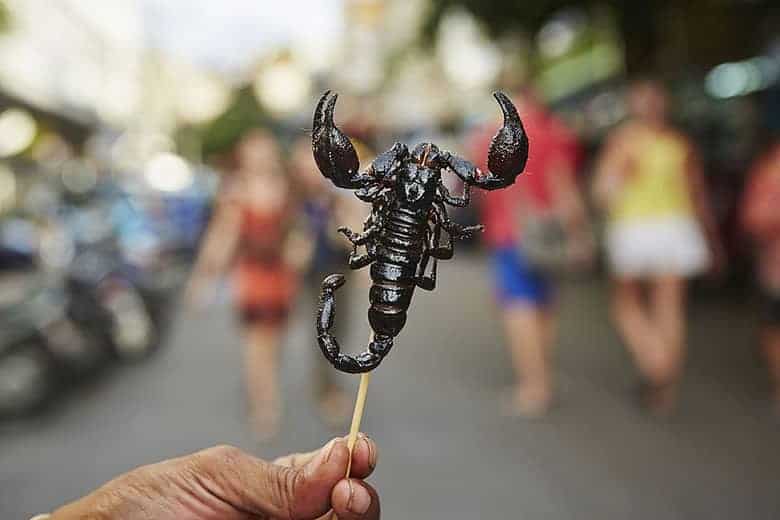what do scorpions taste like