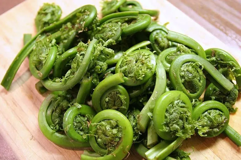 benefits of eating fiddleheads