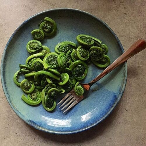 what do fiddleheads taste like