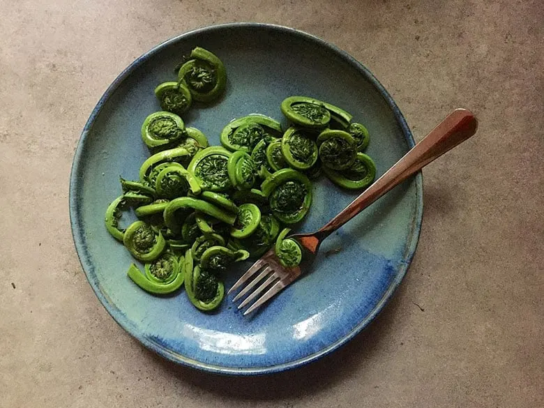 what do fiddleheads taste like