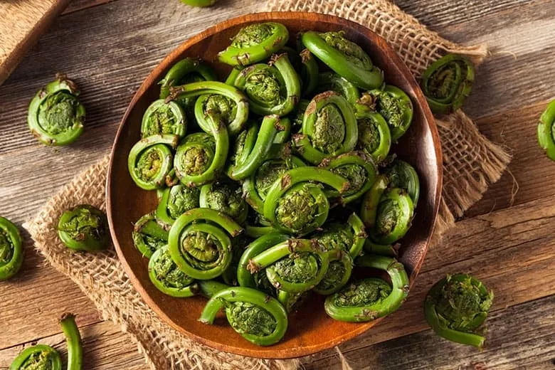 why some fiddleheads are
