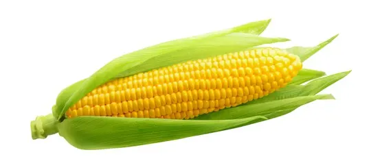 corn on the cob