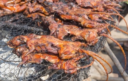 can you eat rat which type of rats is edible