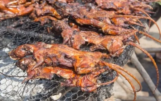 can you eat rat which type of rats is edible