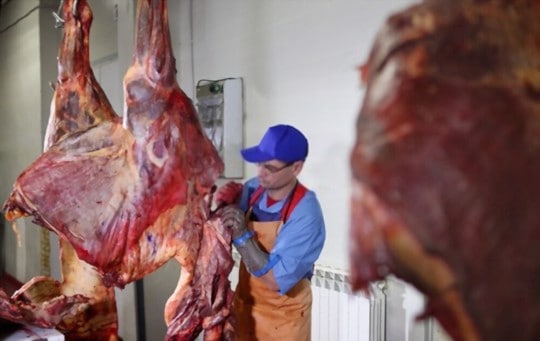 dangers of eating horse meat