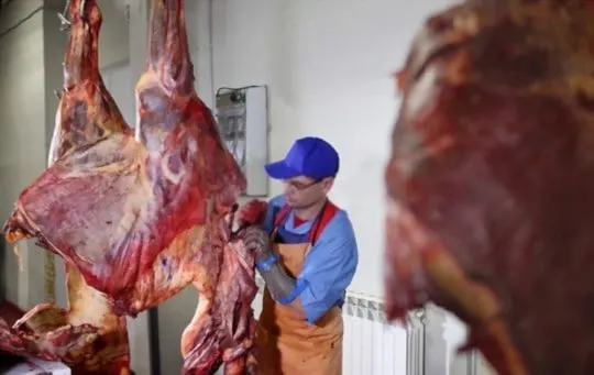 dangers of eating horse meat