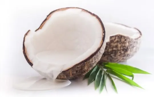 how long does coconut cream last