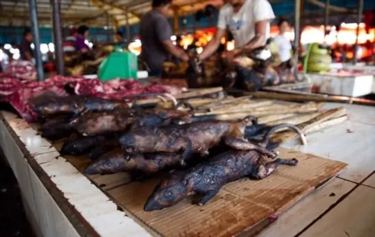 how to eat and cook rat