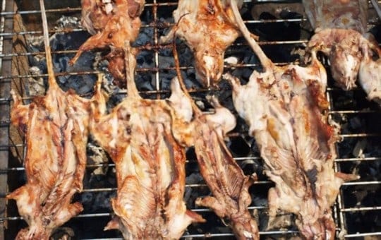what does rat taste like