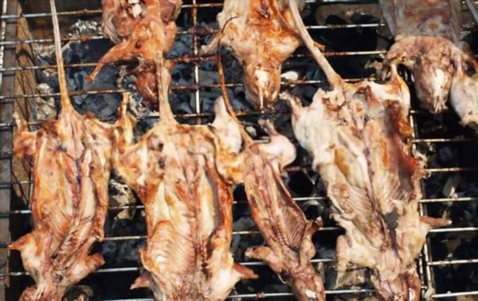what is rat meat
