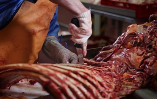 why is horse meat illegal in the us