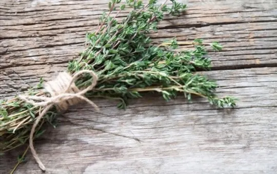 how to choose fresh thyme