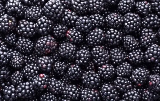 how to store blackberries