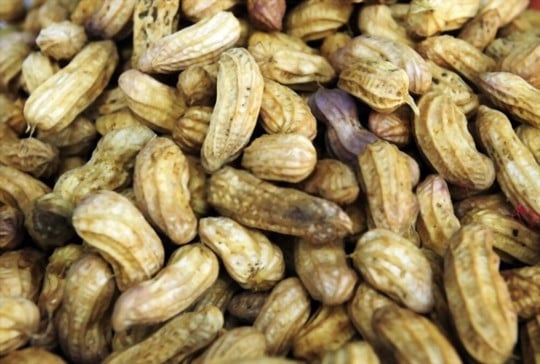 how to store boiled peanuts