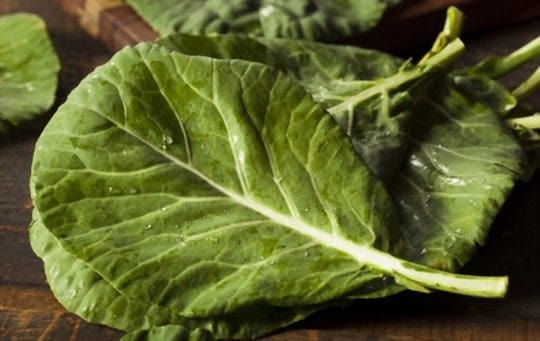can you freeze collard greens