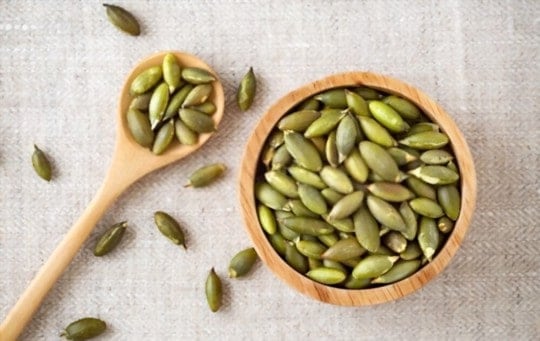 can you freeze pumpkin seeds