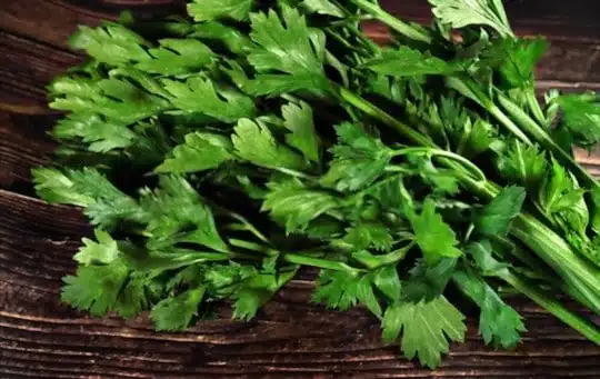 does freezing affect celery leaves