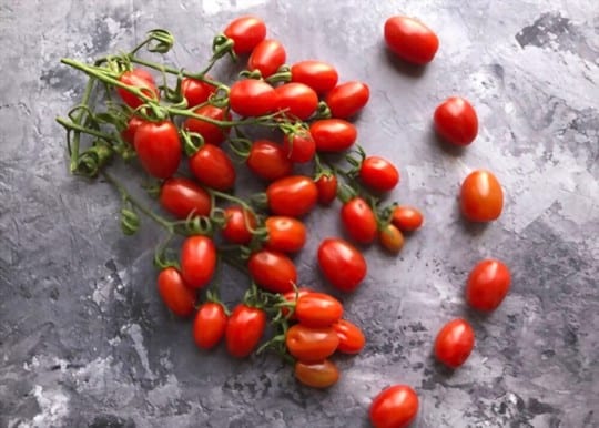 how long does frozen grape tomatoes last