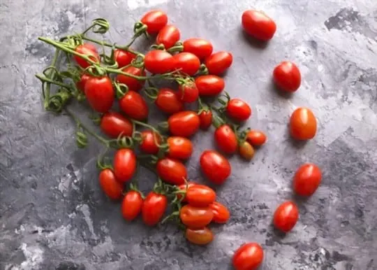 how long does frozen grape tomatoes last
