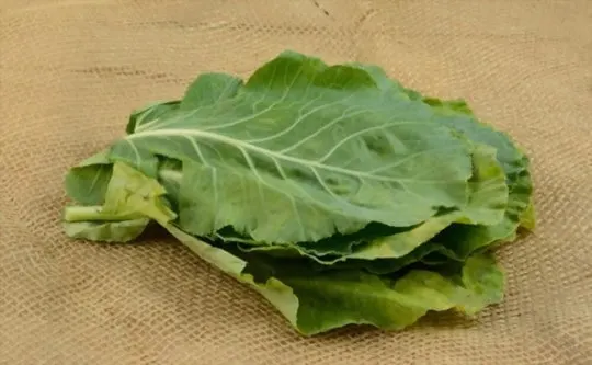 how to freeze collard greens