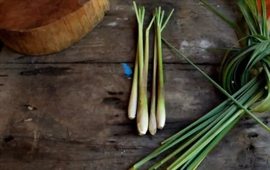 how to freeze lemongrass