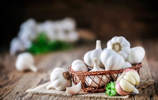how to thaw frozen garlic