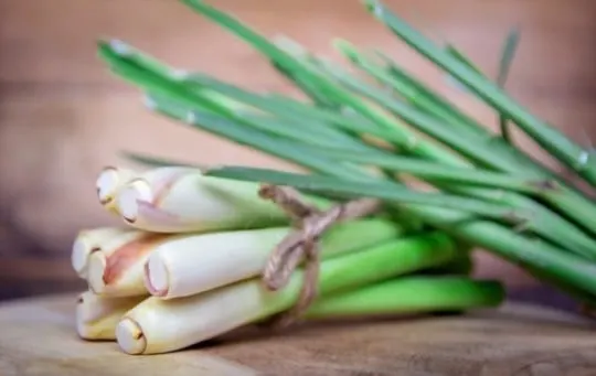 how to thaw frozen lemongrass