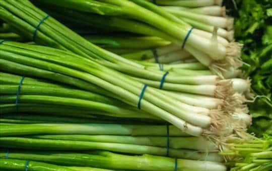 best substitutes for green onions