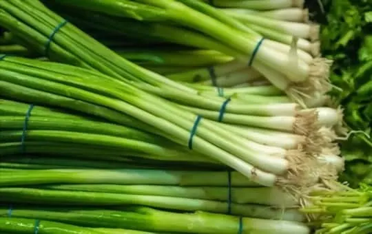 best substitutes for green onions