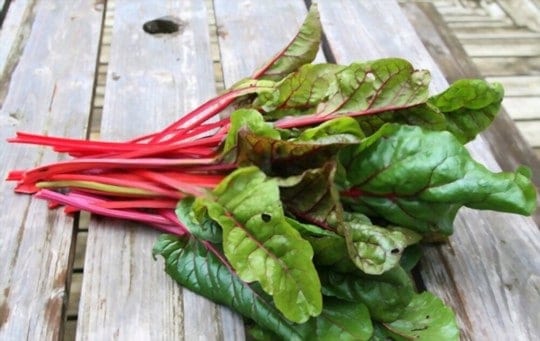 best substitutes for swiss chard