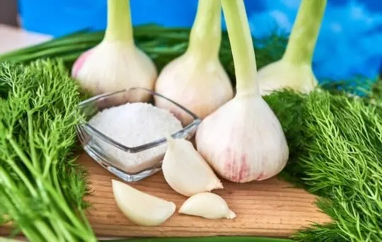 green garlic