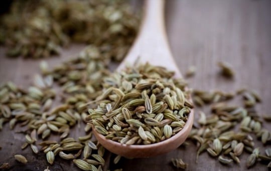 fennel seeds
