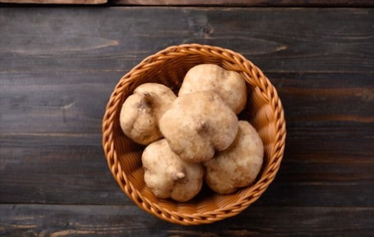 jicama