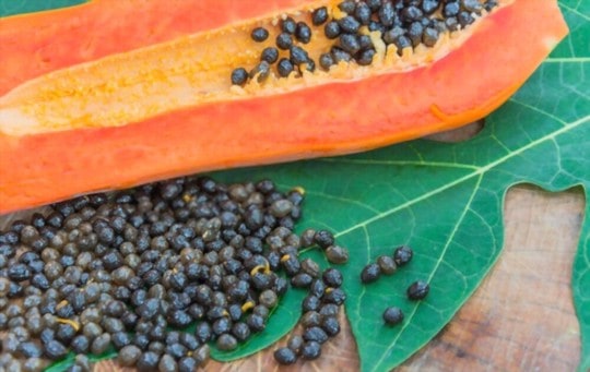 papaya seeds