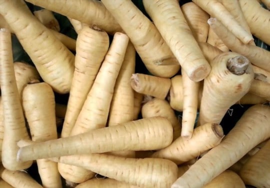 parsnips