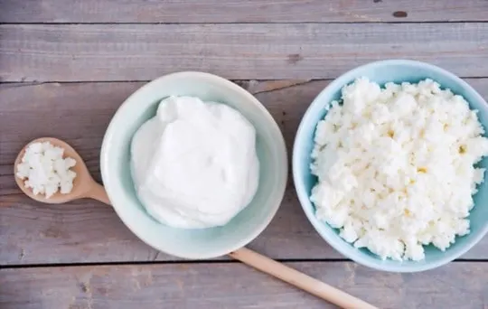 sour cream with ricotta