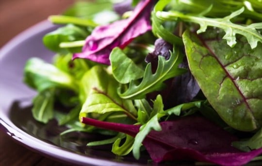 light green salad