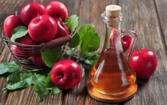 apple cider vinegar