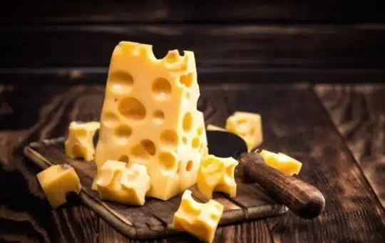 swiss cheese