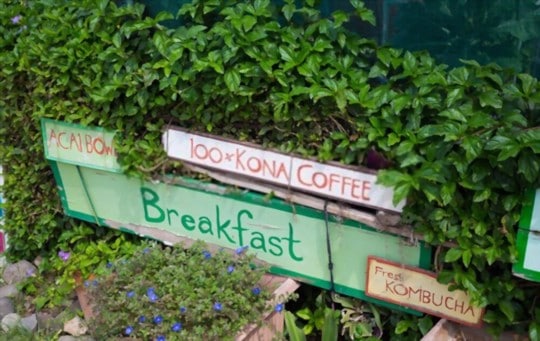 kona coffee