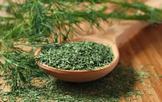 dill weed
