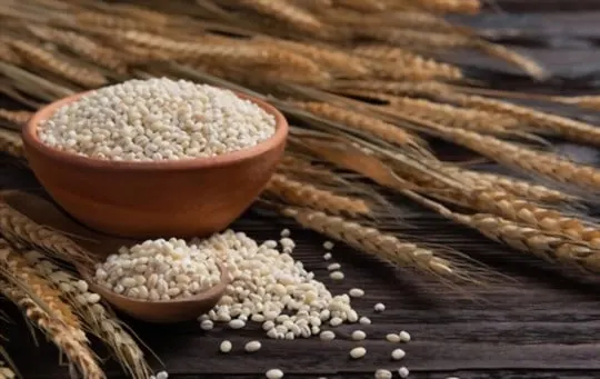 barley