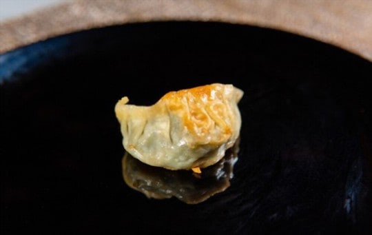 substitutes for gyoza wrappers