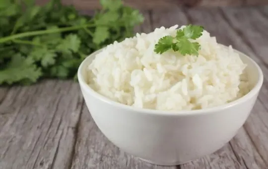 substitutes for white rice