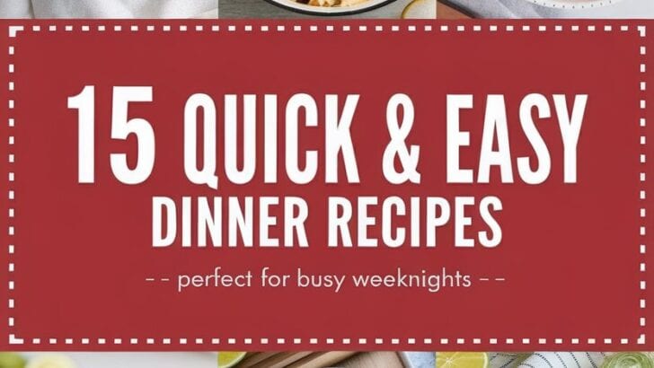 15 QUICK & EASY DINNER RECIPES